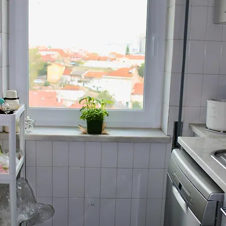 Modern With River Views, Sunrise & Friendly Cats Séjour chez l'habitant *